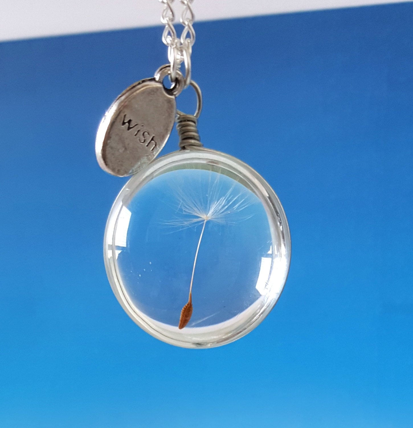 Dandelion Seed Necklace with Silver Plated Chain, Airy real Dandelion, Wish, Glass, Nature